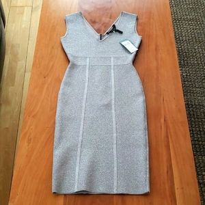 BCBG MaxAzria Ribel Bodycon Dress